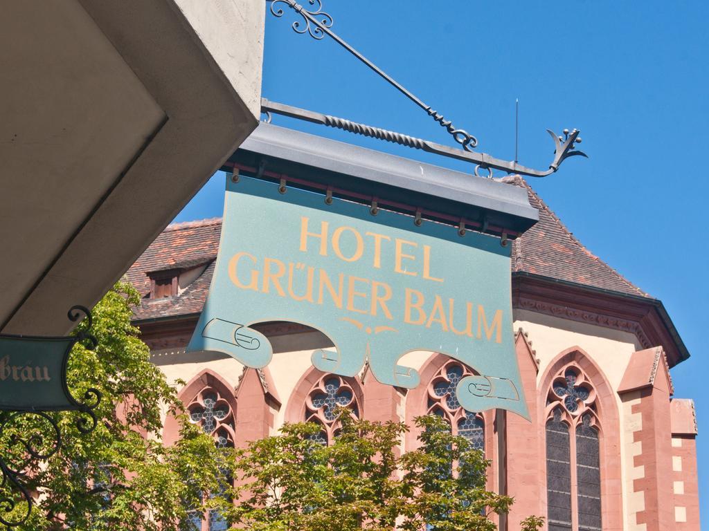 Gruener Baum Wurzburg